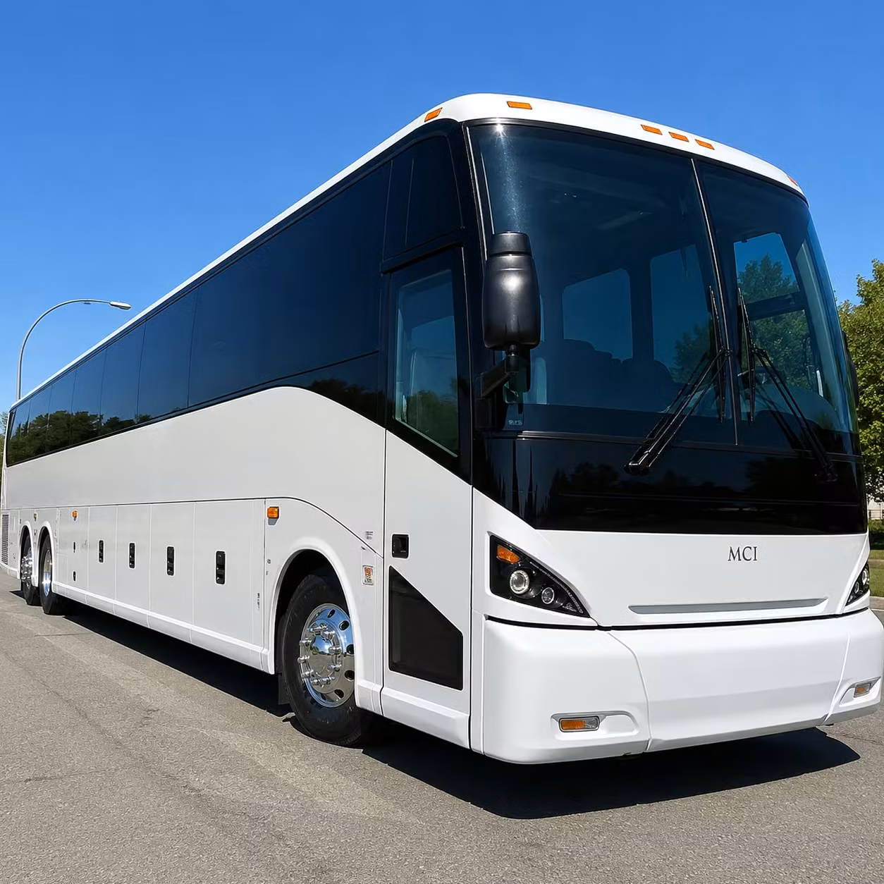 charter buses for birmingham zoo and botanical garden field trips